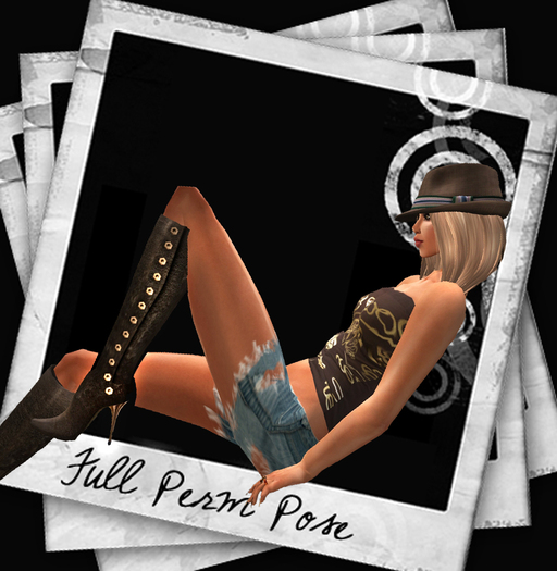 10 Poses & Animations   FULL PERM