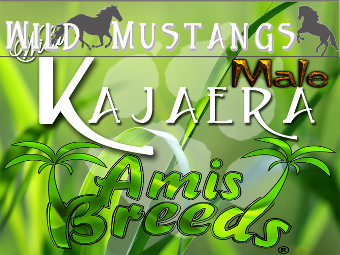 WK Try you luck SAck Mustang Male