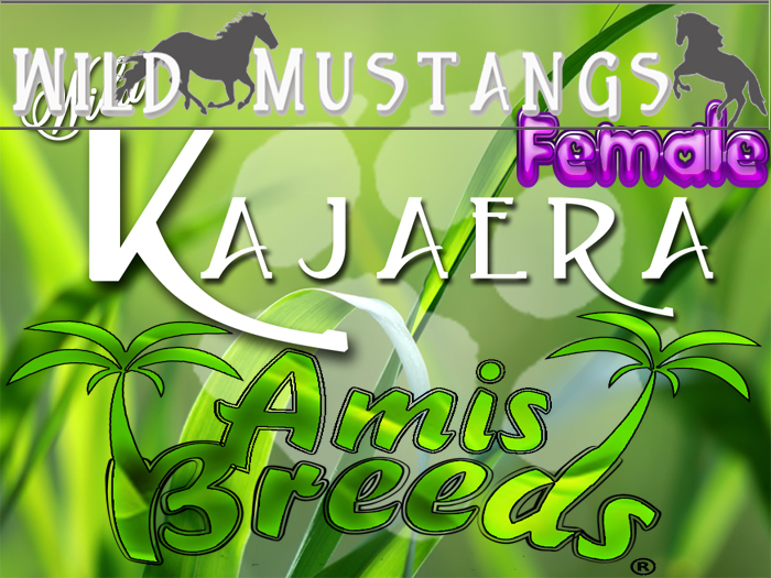 WK Try you luck Sack Mustang Female