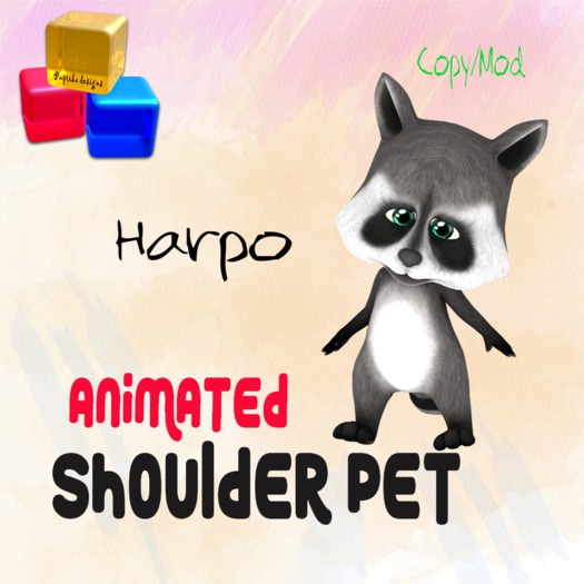 ~P.D~ Shoulder Raccoon - Harpo (BOX)