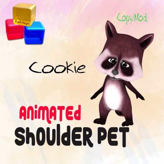 ~P.D~ Shoulder Raccoon - Cookie (BOX)