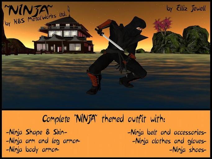 Ninja complete outfit