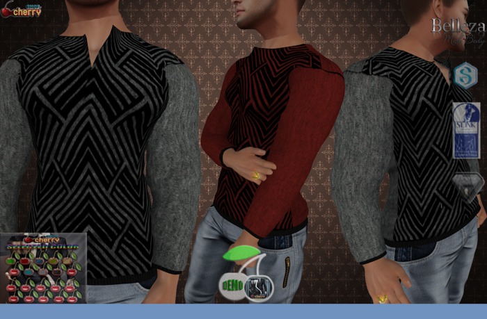 (CHERRY) Men's sweater _ Demo