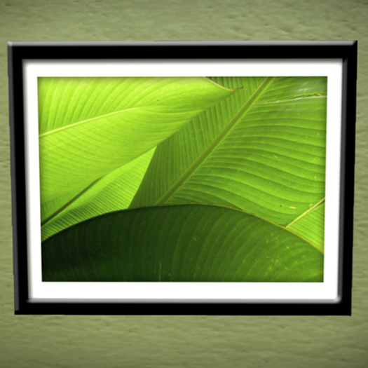 Banana Leaf Framed Horizontal