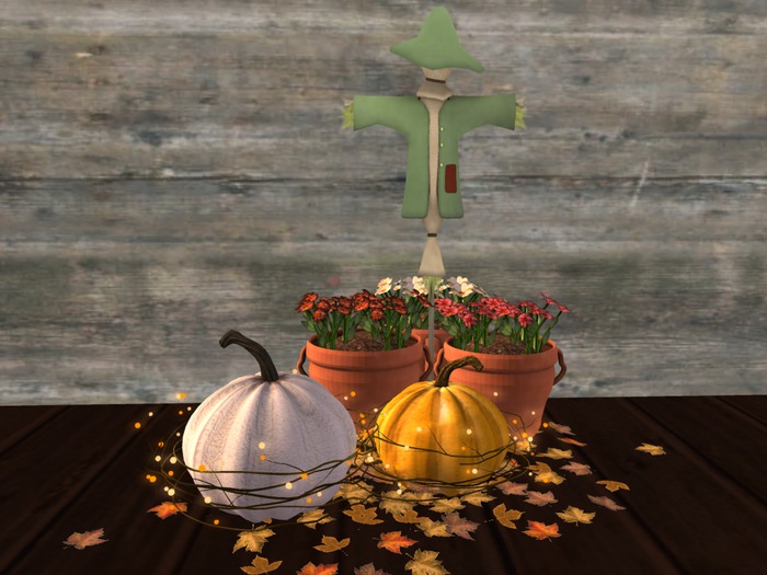 Festive Fall  Potted Flowers BOXED