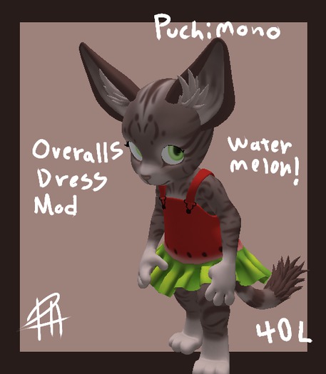 Watermelon dress mod box