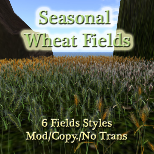 Hay & Wheat Field Seasons 