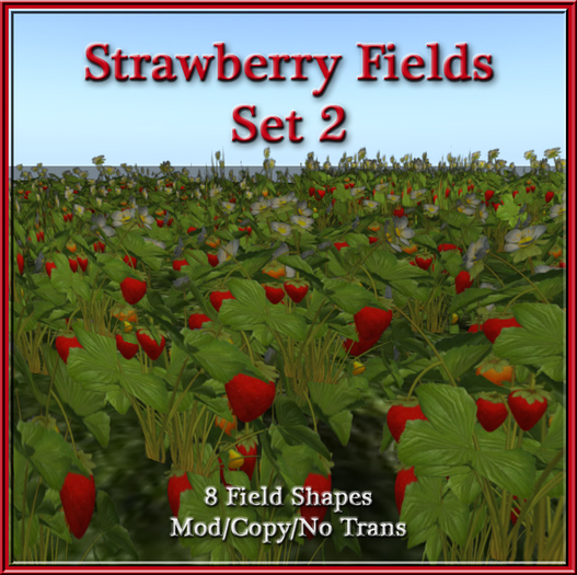 Strawberry Fields Set 2 