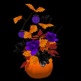 Pumpkin Flower Arrangement, 5 Li , Bagged
