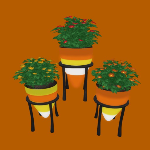 CandyCorn Trio of  Mums Planters, 18 Li , Bagged