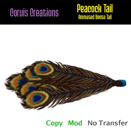 Bento Peacock Tail