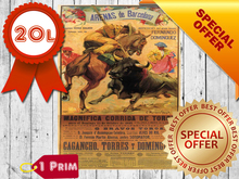 Corrida de Toros