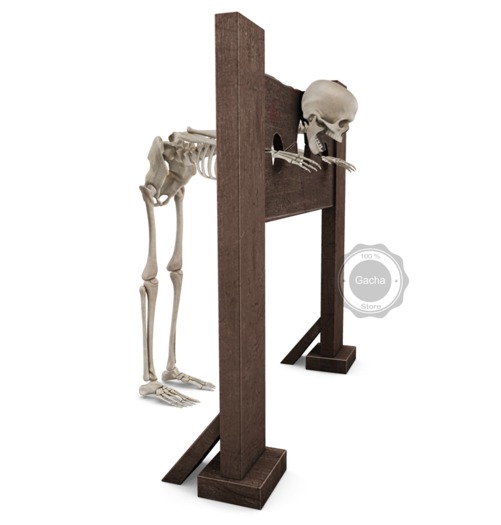 [Con.] Skull-ptures - Stocks