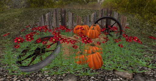 Country Pumpkins