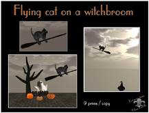Flying black Cat on Witchbroom
