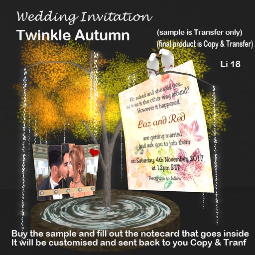 Wedding Invitation - Starry Globe
