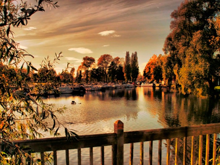Free Landscape