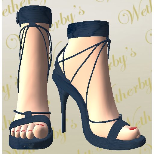 #453 Wetherby's Brittany  - Shoes No. 15 Blue