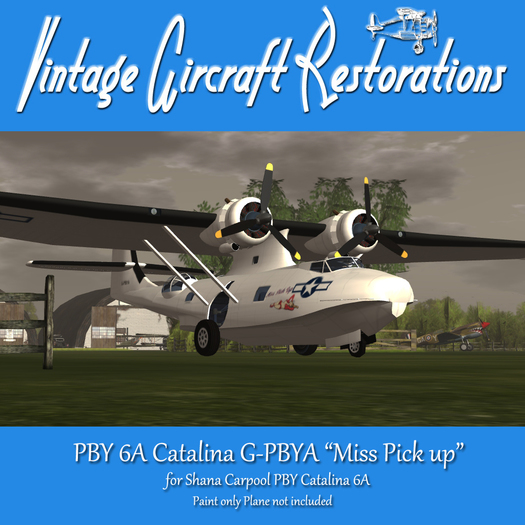 PAINT SC PBY 6a G-PBYA MIss PIck up
