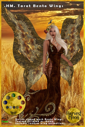 .HM. Tarot Bento Wing Set  [Add and Click]