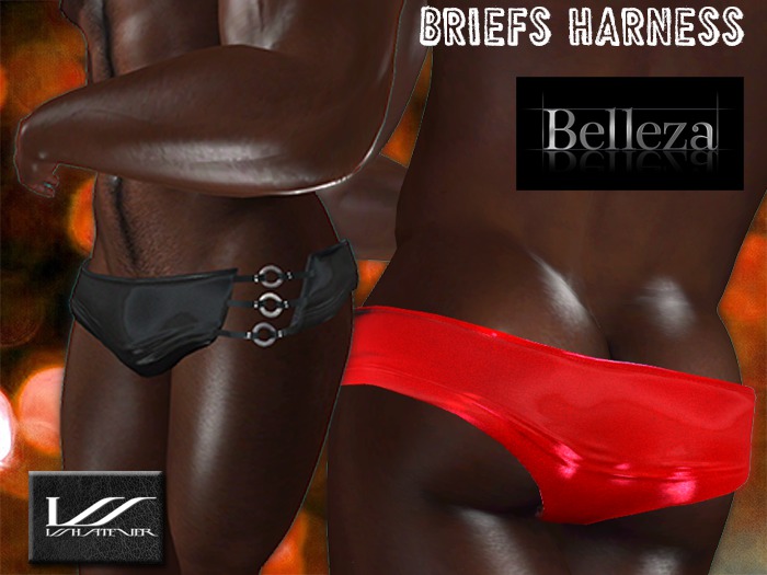 Briefs Harness Belleza by WhatEver