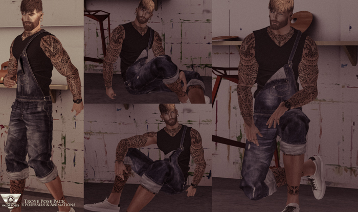 Valor Poses-Troye Pose Pack