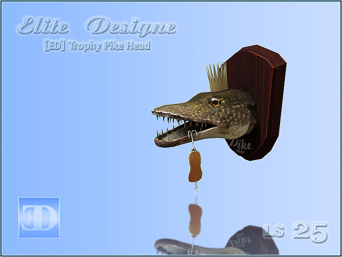 [ED] Trophy Pike Head