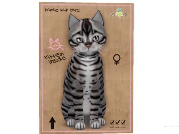 KittyCatS Box - 9 T - F - Toyger - Silver