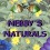 Nebby Newman