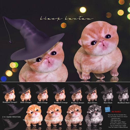 *[Black Bantam] Tiny Kitten Spider Witch BlueBlack Hat Orange