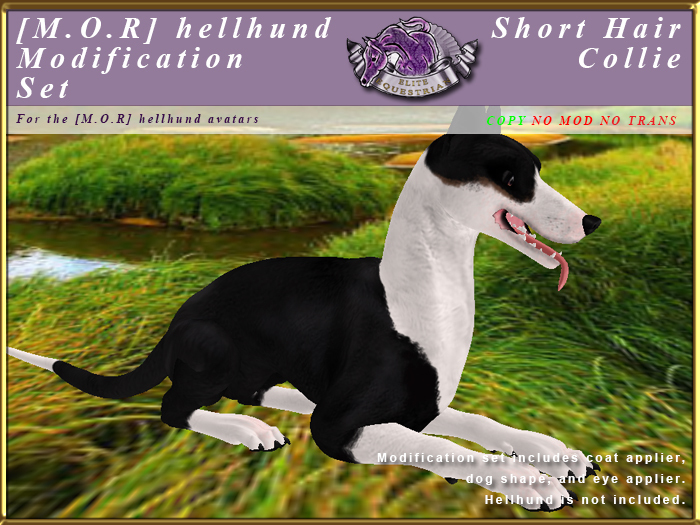 *E* Hellhund Modification Set [BOXED] Short Hair Collie