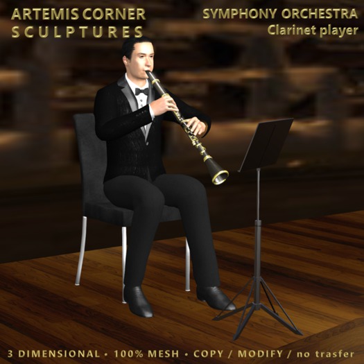 *AC* Symphony Orchestra - Clarinet player d.box