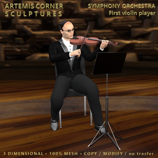 *AC* Symphony Orchestra - First violin player 
