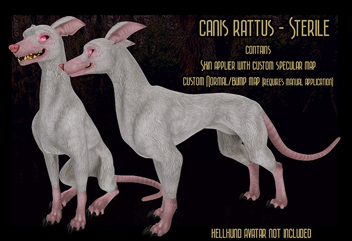 Canis Rattus - Sterile
