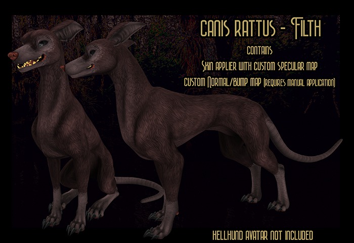 Canis Rattus - Filth