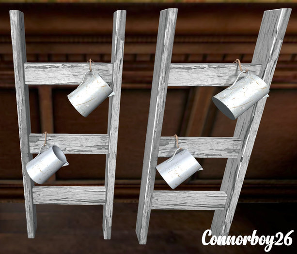 Apt B // Douze Roses - Ladder