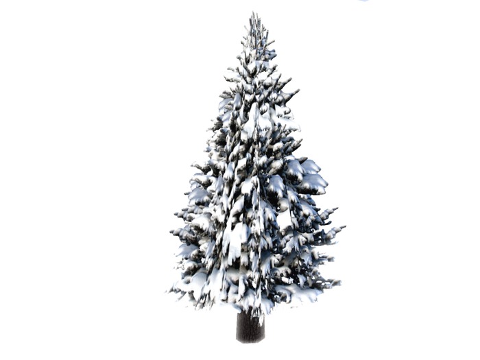 Snow Covered Tree 64m = 3 li