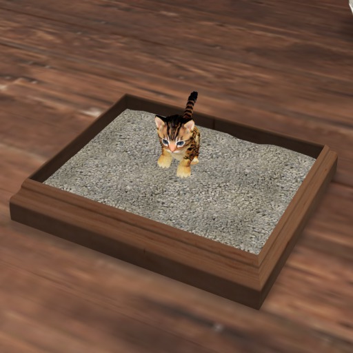 Kitty Litter Tray (AIF Compatible)