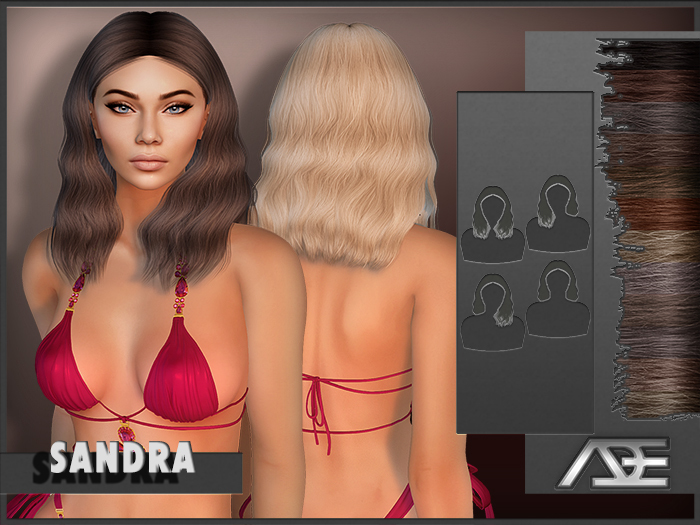 Ade - Sandra Hairstyle (Browns)