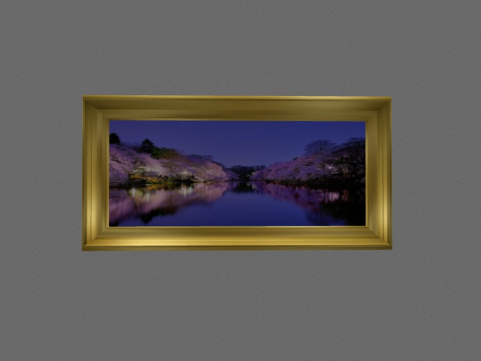 ProMesh 3D Frame (add own picture)many picture and texture menu