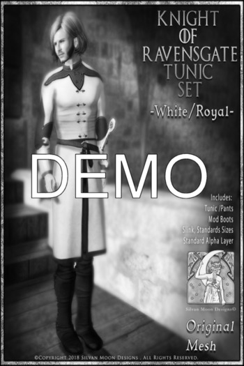 !!!SMD!!! Knight of Ravensgate Tunic Set-DEMO
