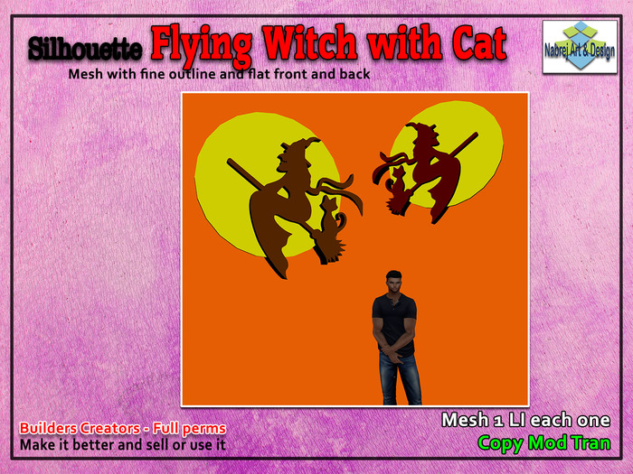 Flying Witch with Cat