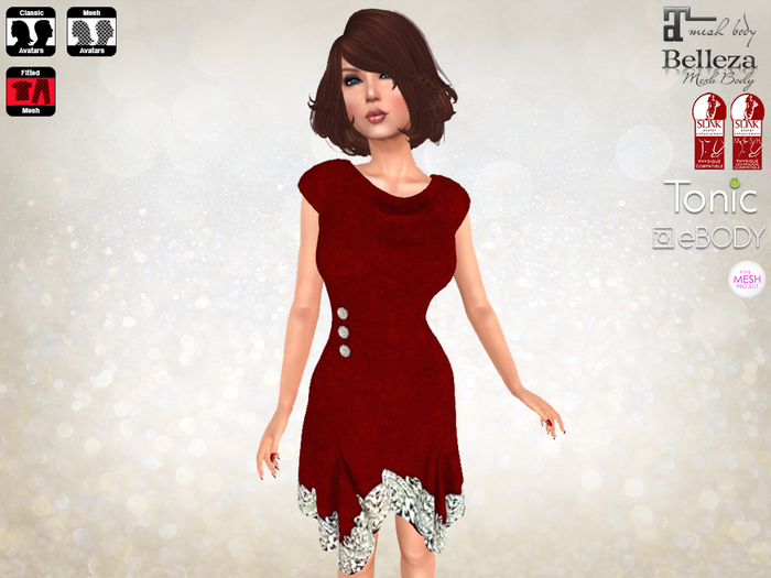 Tunic Dress Red & Silver