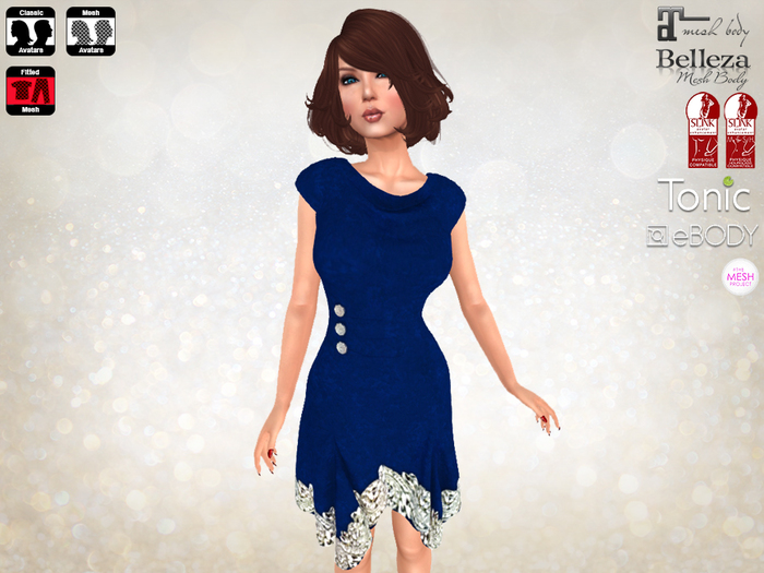 Tunic Dress Blue & Silver