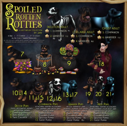 JIAN Spoiled Rotties 19. Collared Pup Held BOX