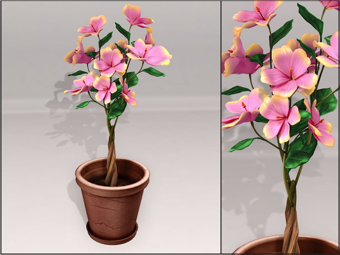 Ariskea[Hawaii] Hibiscus Pink