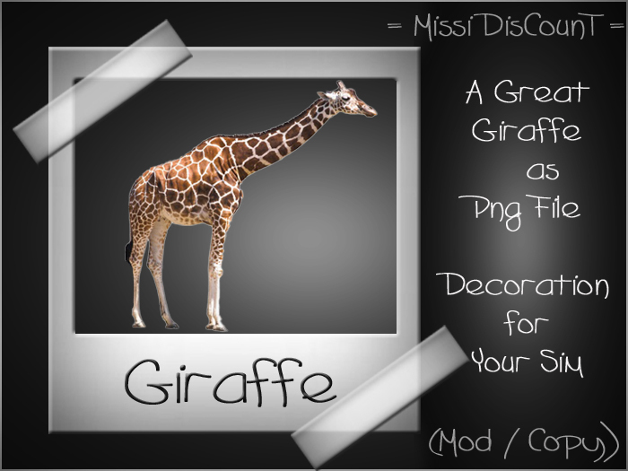 = Giraffe = MiSSi DisCounT =