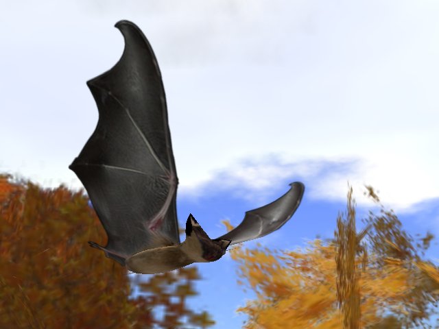 DEMO Vampire Bat