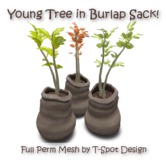 T-Spot Mesh - Burlap Sack w/ Young Tree - Full Perm - LI=2.0