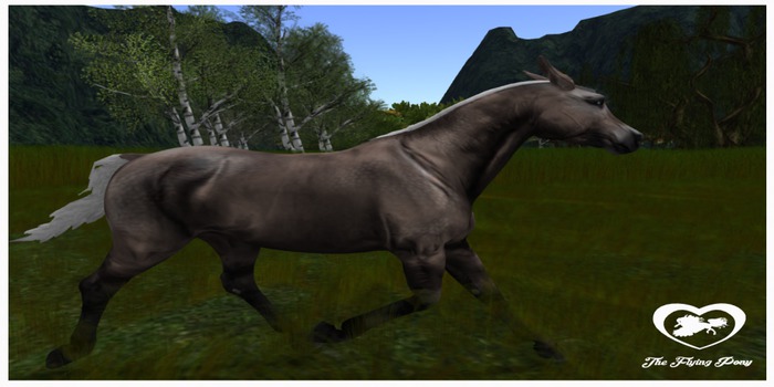 .:TFP:. Teegle - Dapple Mule